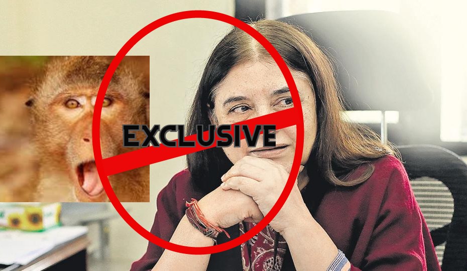 She Trespassed, occupied, embezzled and played with Animals; Yes She is Maneka Gandhi