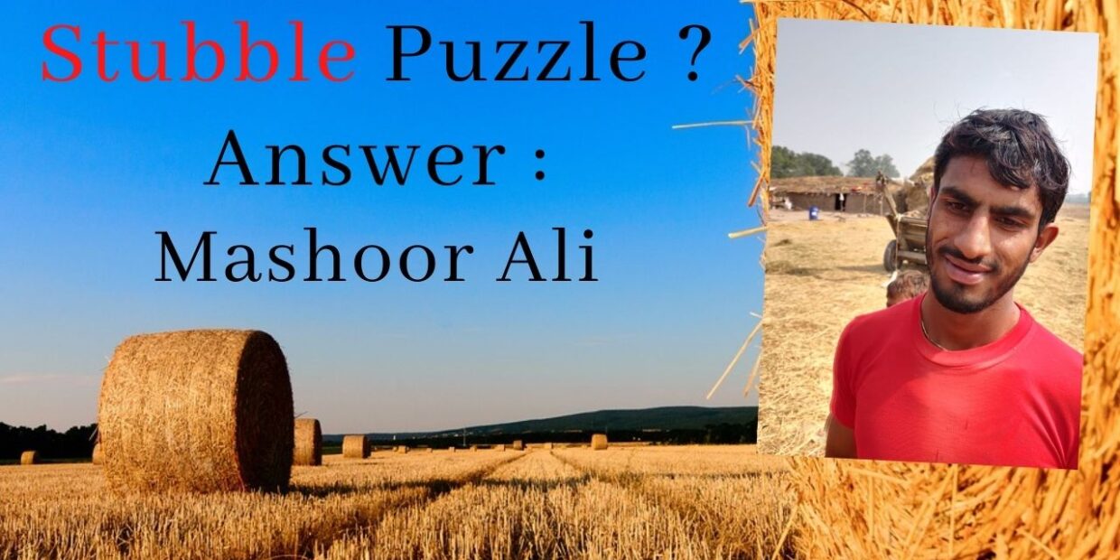 this-is-how-punjab-farmers-got-stubble-puzzle-answer